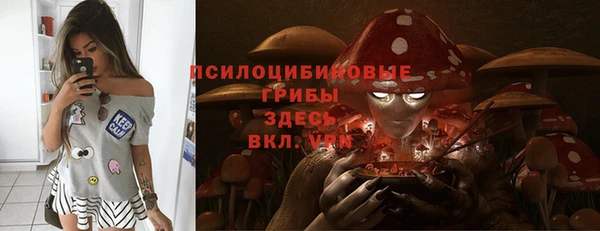 молекула духа Белокуриха