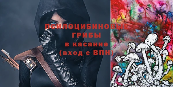 молекула духа Белокуриха