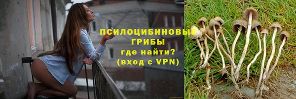 молекула духа Белокуриха