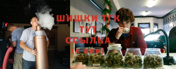 молекула духа Белокуриха