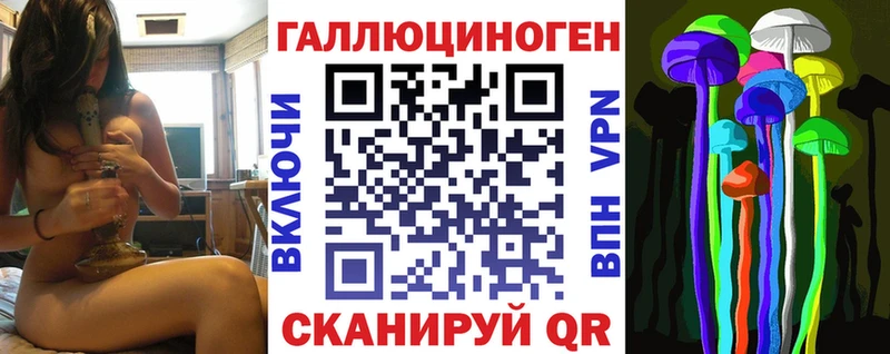 мега маркетплейс  darknet формула  Галлюциногенные грибы Psilocybine cubensis  Кохма 